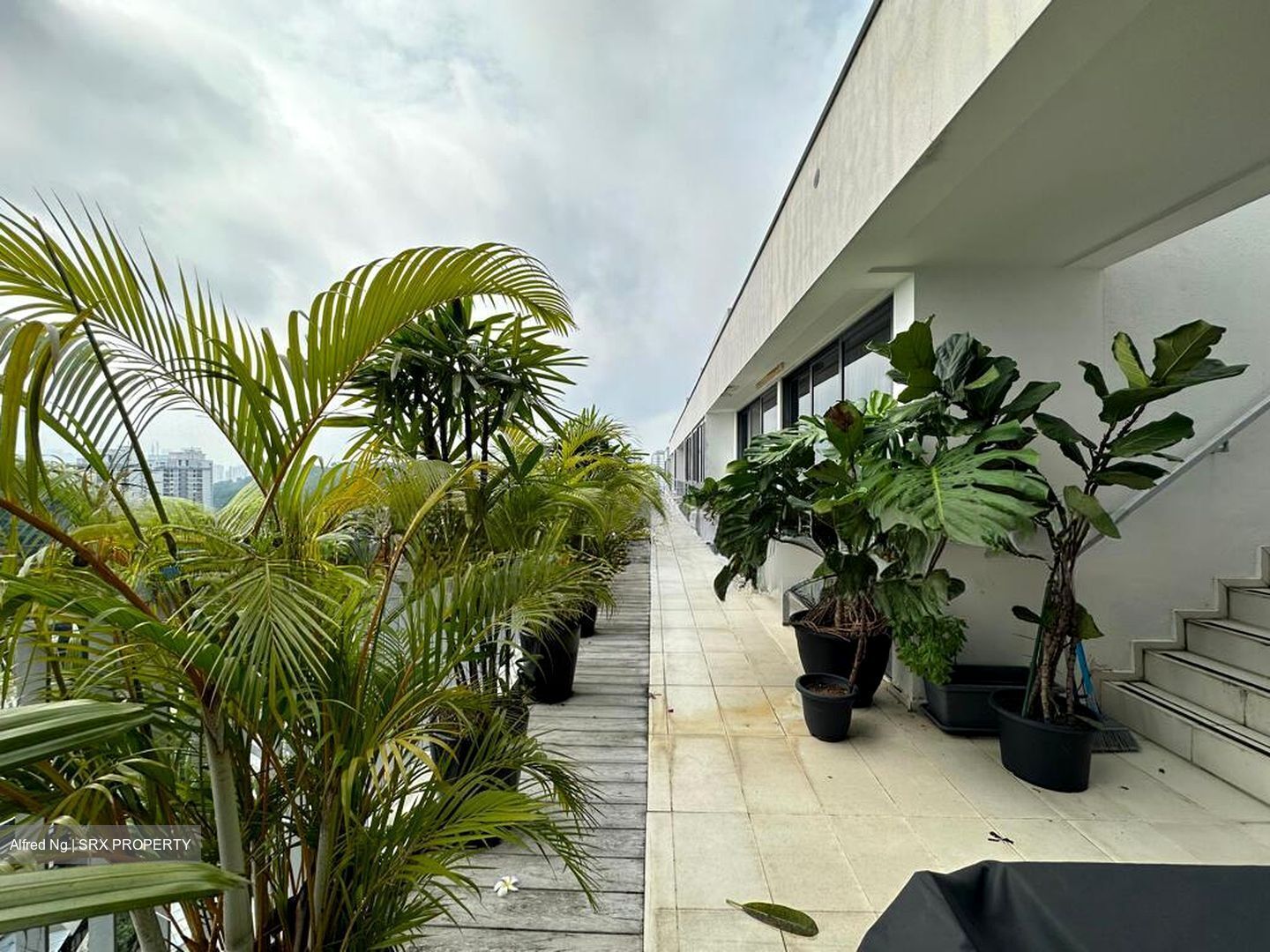 The Interlace (D4), Condominium #516994891